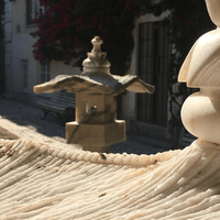 Carlos HENRICH Carlos HENRICH