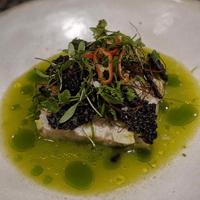 local halibut ceviche with agua chile and black rice crisps