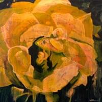 "Yellow Rose" "Yellow Rose"