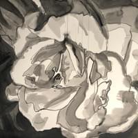 "Watercolor Rose1" "Watercolor Rose1"
