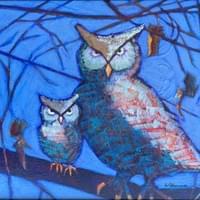 "Familia Noctua" "Familia Noctua"