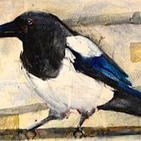 "Pica Pica" / SOLD "Pica Pica" / SOLD