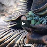 Les heures étoilées Les heures étoilées