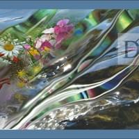 digital art nelson nz digital art nelson nz