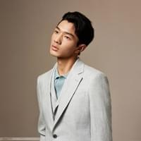 Olive Linen Suit Olive Linen Suit