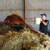 ●ミキサー投入・攪拌 ●ミキサー投入・攪拌