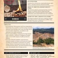 Biomass Biomass