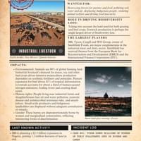 Livestock Industry Livestock Industry