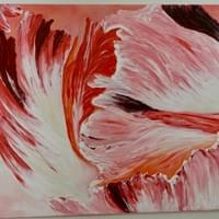 ABSTRACT TULIP (in stock) ABSTRACT TULIP (in stock)