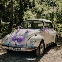 Louez nos coccinelles cabriolets pour une aventure dans le Vaucluse Louez nos coccinelles cabriolets pour une aventure dans le Vaucluse