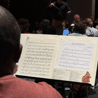 Temple Symphony Orchestra Temple Symphony Orchestra