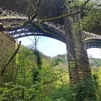 Section image