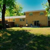 Shaded backyard & mature trees Shaded backyard & mature trees