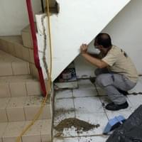 新北市除蟲公司!網友推薦.評價最好 新北市除蟲公司!網友推薦.評價最好