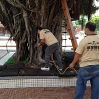 新北消毒公司,台北消毒公司,桃園消毒公司,新北除蟲消毒,台北除蟲消毒,桃園除蟲消毒,新北除蟲公司,台北除蟲公司,桃園除蟲公司 新北消毒公司,台北消毒公司,桃園消毒公司,新北除蟲消毒,台北除蟲消毒,桃園除蟲消毒,新北除蟲公司,台北除蟲公司,桃園除蟲公司