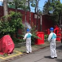 白蟻治療、白蟻驅除、白蟻消滅、白蟻體型、白蟻食物、白蟻控制、白蟻生態、白蟻繁殖、白蟻防治費用、白蟻蟻道