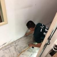 自己除白蟻、白蟻怎麼處理ptt、白蟻出現代表什麼、白蟻處理費用、房子有白蟻怎麼辦、白蟻藥全聯、白蟻怕什麼、白蟻怎麼來的