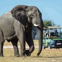 Chobe Full Day Safari Chobe Full Day Safari
