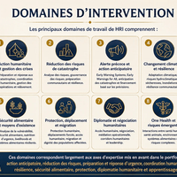 DOMAINES D'INTERVENTION