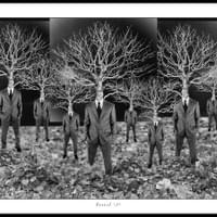 FOREST (#2) FOREST (#2)