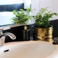 Bagno Bagno