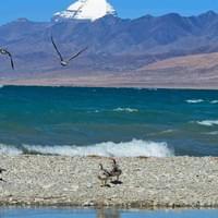 Guidetibet is a local travel agency offering authentic Tibet tours since 2004. Guidetibet is a local travel agency offering authentic Tibet tours since 2004.