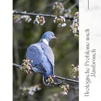 Liebeskummer Teil 8 Liebeskummer Teil 8