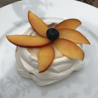 Pavlova