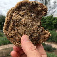 GF Tahini Chocolate Chip Cookie