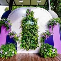 SINGAPORE·MOUTAI NIGHT 2025 SINGAPORE·MOUTAI NIGHT 2025