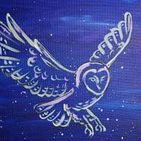 Owl medicine Owl medicine