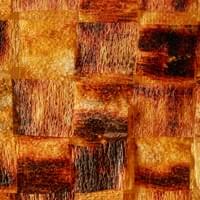 © Dominique Bersier, www.dbersier.com