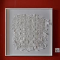 Champs de Coton, 53x52 cm