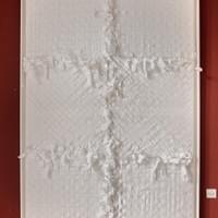 Champs de Coton, 90x140 cm