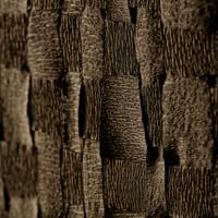 © Dominique Bersier, www.dbersier.com