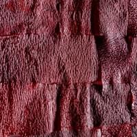 © Dominique Bersier, www.dbersier.com