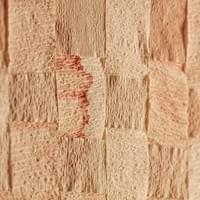 © Dominique Bersier, www.dbersier.com