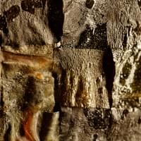 © Dominique Bersier, www.dbersier.com