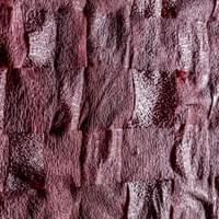 © Dominique Bersier, www.dbersier.com