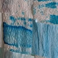 © Dominique Bersier, www.dbersier.com