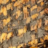 © Dominique Bersier, www.dbersier.com