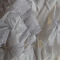 © Dominique Bersier, www.dbersier.com