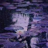 2026 紫夢浮光 2026 紫夢浮光