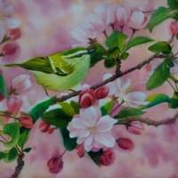 2021 春暖花開 Spring Blossoms 76x56cm