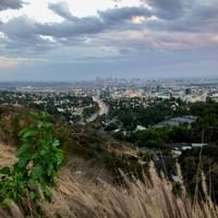 BEAUTY OF LOS ANGELES BEAUTY OF LOS ANGELES