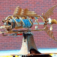 Invasive Species Invasive Species