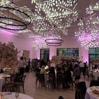 The Arlo Pattern Projection Lighting The Arlo Pattern Projection Lighting