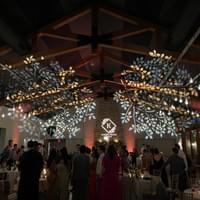Canyonwood Ridge Pattern Projection Lighting (2 lights) Canyonwood Ridge Pattern Projection Lighting (2 lights)