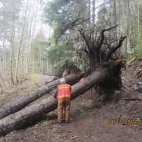 Spring cleaning Spring cleaning