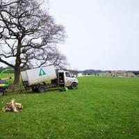 Carrying out dead wooding on a well known estate in North Norfolk